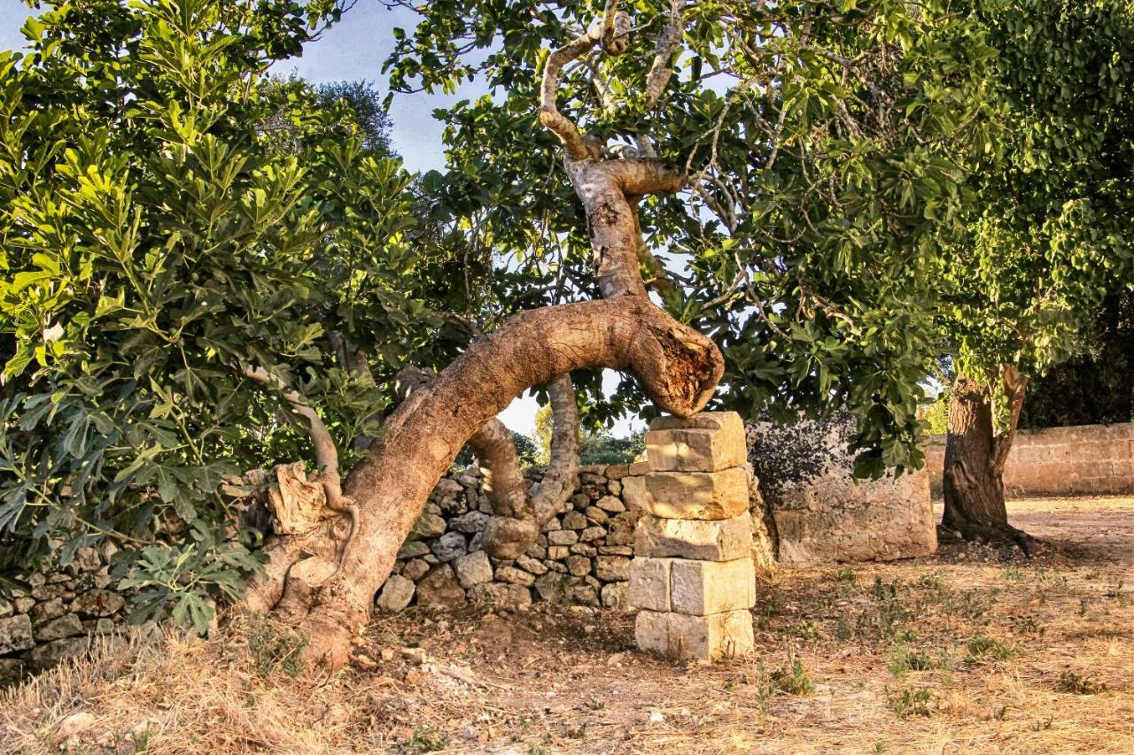 Masseria Costa Corigliano dʼOtranto 외부 사진
